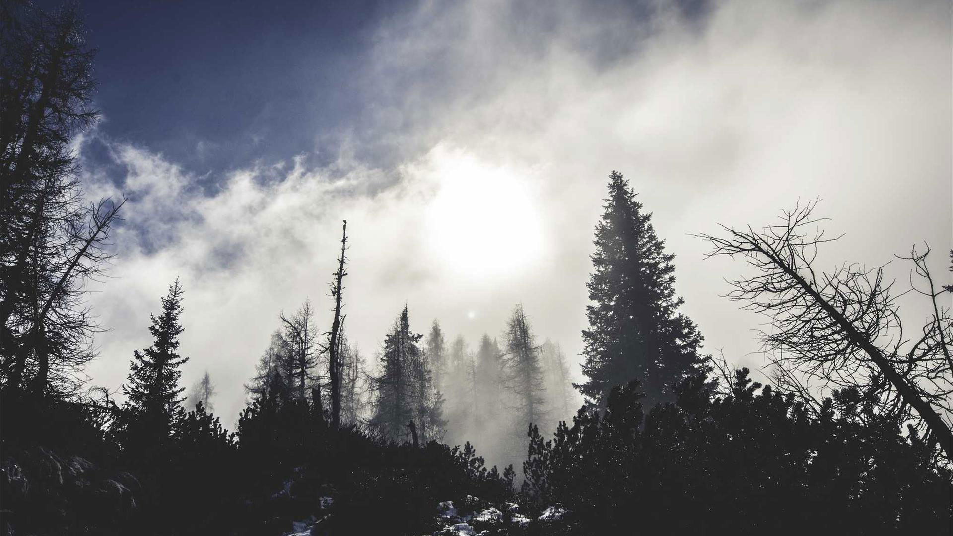 如何提升恋爱中的沟通效率